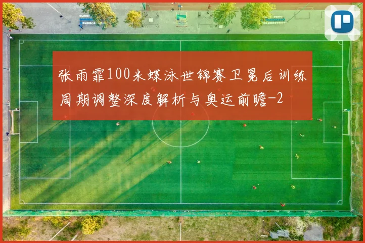 张雨霏100米蝶泳世锦赛卫冕后训练周期调整深度解析与奥运前瞻