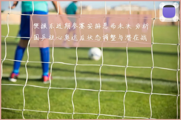 樊振东近期参赛安排悬而未决 分析国乒核心奥运后状态调整与潜在战略转向