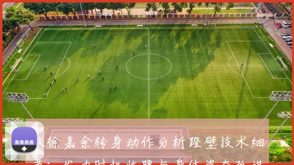 从徐嘉余转身动作分析蹬壁技术细节：发力时机收腹与身体姿态改进提升速度